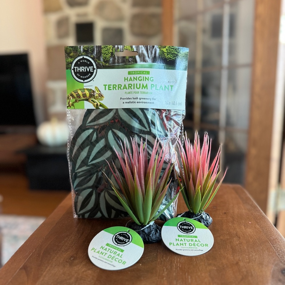 Thrive Reptile Decor